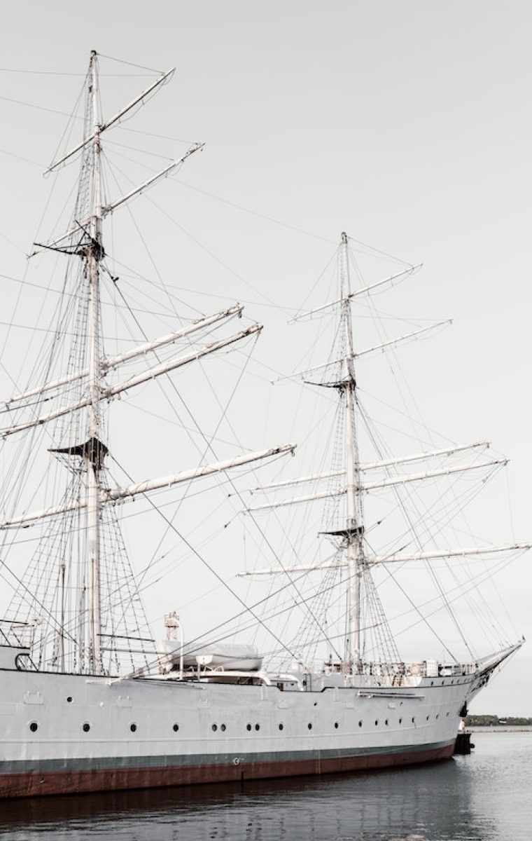 pexels-felix-mittermeier-1459523